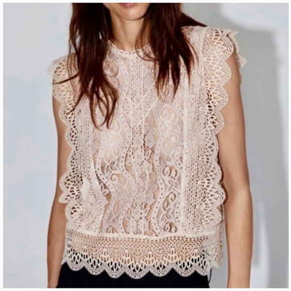 NWT Zara Lace Ruffle Blouse - Blush Pink - Picture 16 of 16